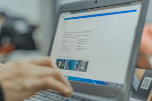 阿里旺旺网页版——轻松实现高效沟通与购物的必备工具