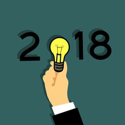 2021年快递停运日期全解析，春节前后物流安排及应对策略