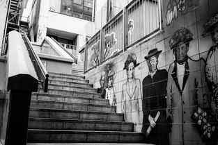 上海小区出入恢复，城市复苏的序曲与居民生活新常态