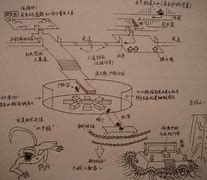 建设规模与特色