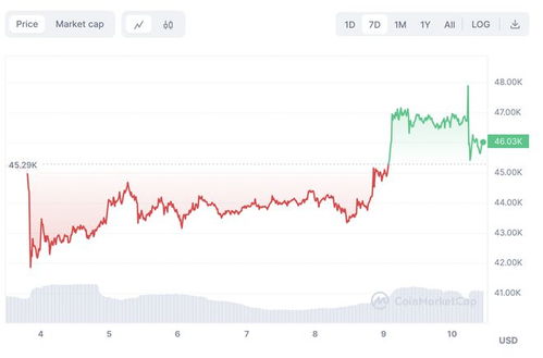 昨日香港比特币增持枚比特币