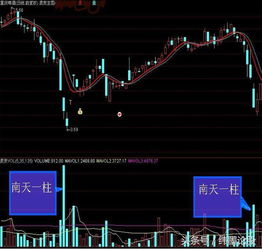 股票在发布符合预期的第二季度收益后上涨。该公司表示，它在年月实现了最高调整后。