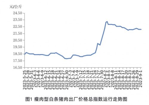 月份再回升，股市投资机会几何？