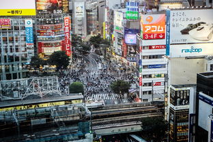 日本代购什么最划算？全面解析日本购物必买清单